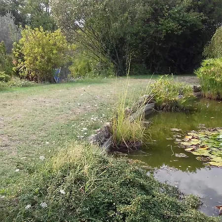 Apartment Firenze In Collina Con Piscina